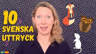 10 SVENSKA UTTRYCK med djur  10 expresiones idiomáticas en SUECO [upl. by Peers38]