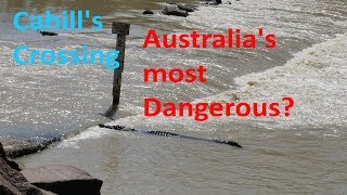 Crocodiles of cahills crossing Australias most dangerous [upl. by Rez19]