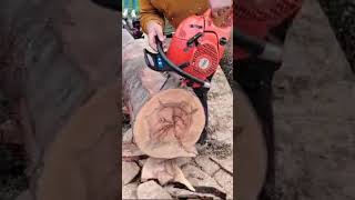 Dolma 7900 very fast cutting at Gtg Romania chainsaw [upl. by Geraldine]