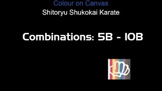 Shitoryu Shukokai Karate Combinations 510B [upl. by Edurtreg487]