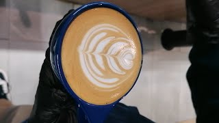 Speciality Coffee Training  Barista art skills  Coffee Latte Art Tutorial tulip latte art [upl. by Tali]