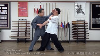 【楊式鄭子太極拳37式】 用法1 【Cheng ManChing Taichi 37 form】 Application 1 【양식정자태극권】 용법1 [upl. by Ednutey130]