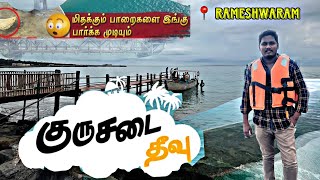 வெறும் 300 இருந்தா போதும் நீங்களும் இந்த தீவுக்கு போகலாம்  Kurusadai island rameshwaram island [upl. by Alletniuq]