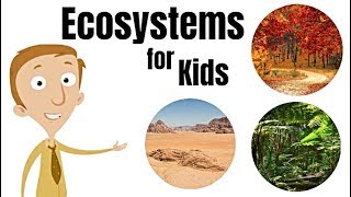 Ecosystems for Kids [upl. by Irrabaj]