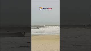 Pico de Matinhos PR setembro 2024 surfe wavesnow [upl. by Auqinehs]