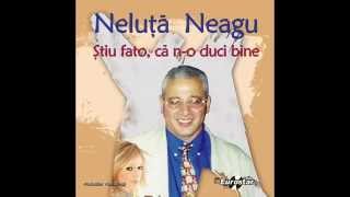 neluta neagu  stiu fata ca no duci bine [upl. by Lerrej]