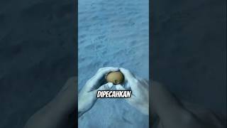 Penyelam ini Eksperimen memecahkan Telur di Dalam Laut shortvideo trending viralvideo [upl. by Aicilec]