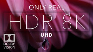 8K HDR Bright Color Dolby Vision [upl. by Ramedlab184]