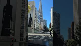 Transamerica Pyramid  San Francisco transamerica sanfranciscotravel americatravel [upl. by Levitus]