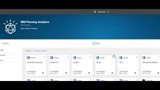 IBM Cognos Planning Analytics Demo [upl. by Lak]