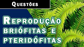 QUESTÕES  REPRODUÇÃO BRIÓFITAS E PTERIDÓFITAS [upl. by Yelena]