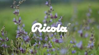 إعلان ريكولا للشرق الاوسط  AE  RICOLA [upl. by Wun462]