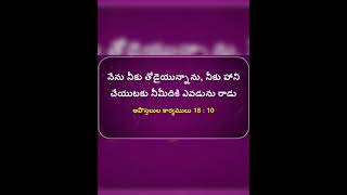 Today jesus christ promise day 14112024 [upl. by Nitram]