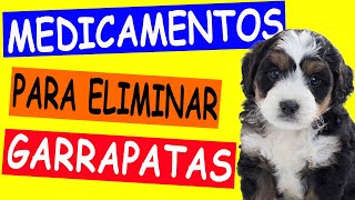 MEDICAMENTOS para ELIMINAR GARRAPATAS de mi PERRO y de mi CASA [upl. by Dronel577]