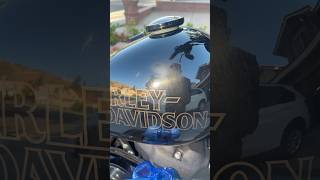 Mikes Mobile Detailing🇺🇸 Harley Davidson Low Rider S mikesmobiledetailing harleydavidson custom [upl. by Llenyar]