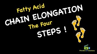 Fatty Acid Chain Elongation The Four Steps [upl. by Attenol]