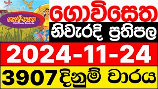 Govisetha 3907 20241124 lotharai dinum adima today ගොවි සෙත ලොතරැයි ප්‍රතිඵල NLB [upl. by Fawnia949]