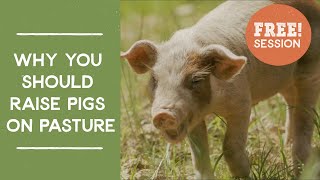 Why You Should Raise Pigs on Pasture Free Masterclass Session  Joel Salatins Farm Like a Lunatic [upl. by Sanez]