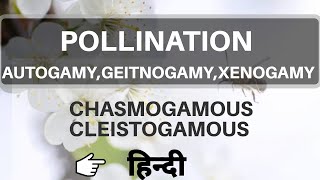 Pollination class 12 by be educated in hindi [upl. by Meyers246]