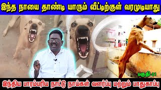 இந்த நாயை தாண்டி யாரும் வீட்டுக்குள் வர முடியாது  Indian Dog Breed [upl. by Cacka]