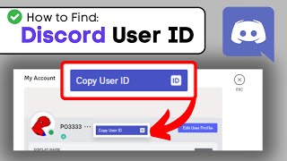 How To Find Your User ID on Discord  Full Guide 2024 [upl. by Phelips]