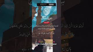 Surah al Ahqaaf ayat 3235 Urdu Translation سورةالاحقاف shorts shortsfeed quransurah viral [upl. by Remmos]