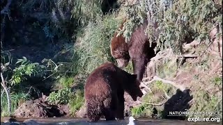 26 Sep 2024 747 Drops in on 18 exploreorg [upl. by Naul]