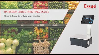 Label Printing Scale  The Best Equipment for Weighing Barcode Labeling and Printing [upl. by Skiba]