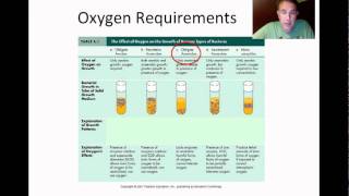 Microbial Growth Part 1 [upl. by Camille]