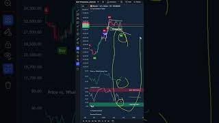 Bitcoin Pumped 174 The Last Time This Happened LEGENDARY INDICATOR SIGNALS [upl. by O'Malley]