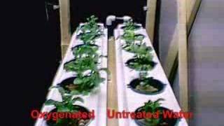 BluePlanet Hydroponics [upl. by Rosel]