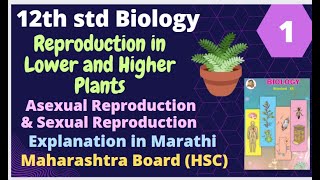 12th std biology Reproduction in lower and higher plants Part 1 MH board HSC [upl. by Foah]