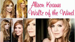 Alison Krauss amp Ledward Kaapana — quotWaltz Of The Windquot — Audio [upl. by Morrill]