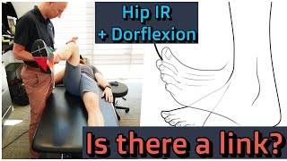 The Link Between Ankle Doriflexion and Hip Internal Rotation [upl. by Adliw]