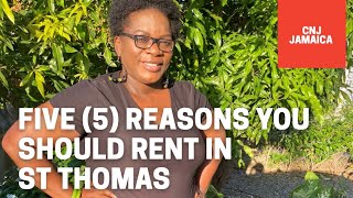 Five 5 reasons you should rent in St Thomas Jamaica [upl. by Dlanar]