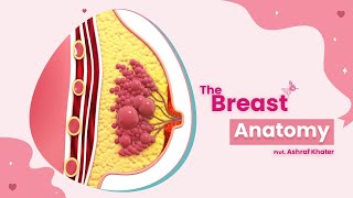 Breast Anatomy 01  Surgery  Prof Ashraf Khater [upl. by Haase]