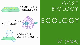 ECOLOGY  GCSE Biology AQA Topic B7 [upl. by Prochoras]