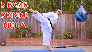 5 SHOTOKAN KARATE KICK DRILLS  Beginner Karate Lesson [upl. by Annaiel708]