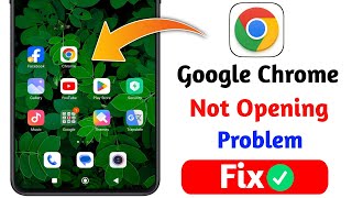 How To Fix Google Chrome is Not Working  Google chrome not opening problem solved 2024 [upl. by Mandie209]