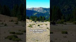 Scenic Road Durmitor National Park on a motorcycle [upl. by Charlet]