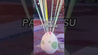 SHINY PACHIRISU in POKÉMON VIOLET AFTER 15 EGGS [upl. by Oster]