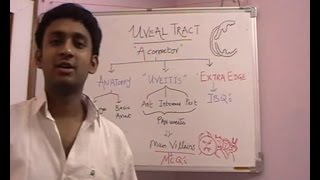 Lecture 3 Uveal Tract Part 1 [upl. by Ihtraa]