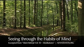 Adyashanti Guided Meditation  Seeing through the Habits of Mind [upl. by Kremer]