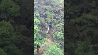 Zip line in murree trending zipline adventure travel nature mountains music shorts [upl. by Anma343]