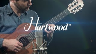 Hartwood Renaissance Classical Guitar  Gear4music demo [upl. by Angeline]