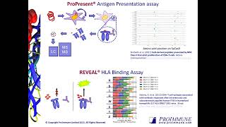 An Integrated Approach and Strategies to Mitigate Immunogenicity Risk [upl. by Elstan]