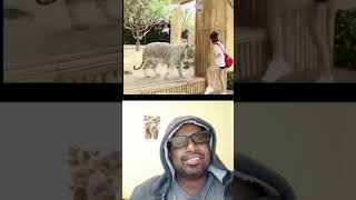 Animal vs Human Reactions 🤯🐾 3 comedy AnimalBehavior HumanReactions Shorts Viral [upl. by Stoffel915]