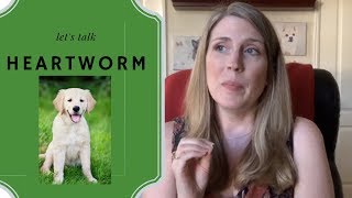 How Do Dogs Get Heartworms How To Prevent and Treat Heartworms Does MY Dog Have Heartworms [upl. by Ameh]