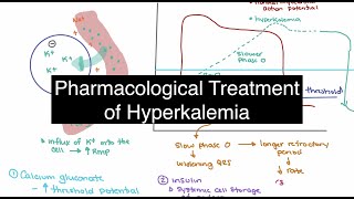 Pharmacological Treatment of Hyperkalemia [upl. by Aihsotal]