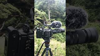 June 24 2018 filmed Ecola State Park Oregon with ursa pro 46k lens  sigma 100400 [upl. by Timotheus778]